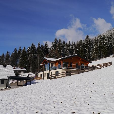 Austrian Alpine Apartments Ramsau am Dachstein Ngoại thất bức ảnh
