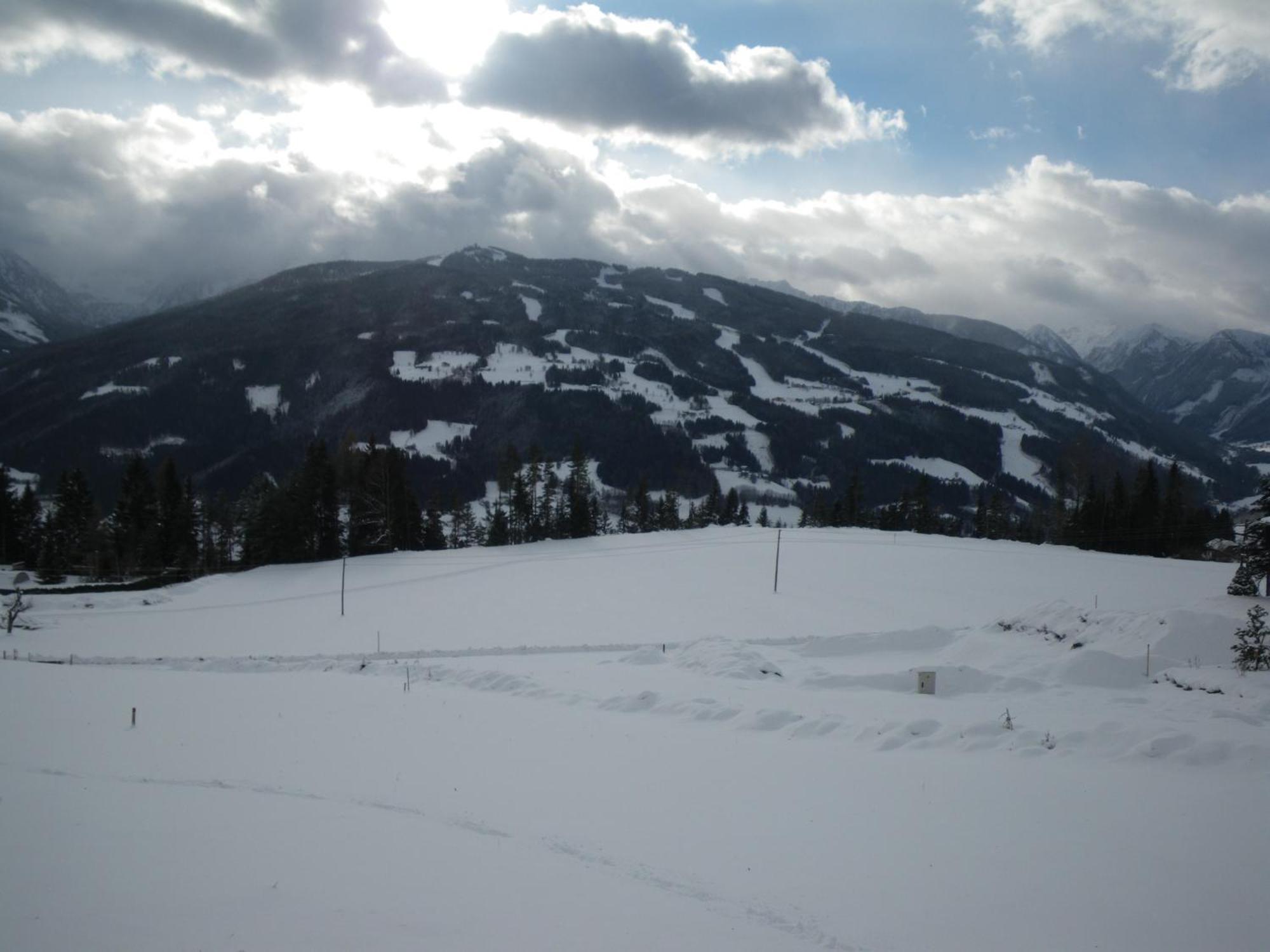Austrian Alpine Apartments Ramsau am Dachstein Ngoại thất bức ảnh