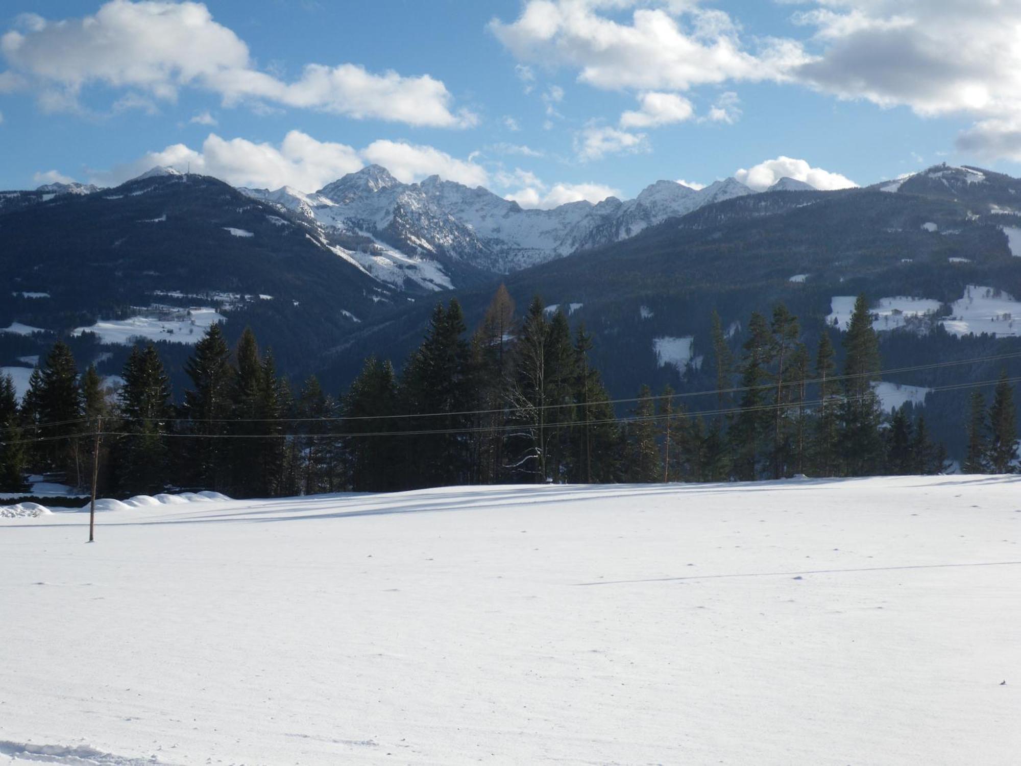 Austrian Alpine Apartments Ramsau am Dachstein Ngoại thất bức ảnh