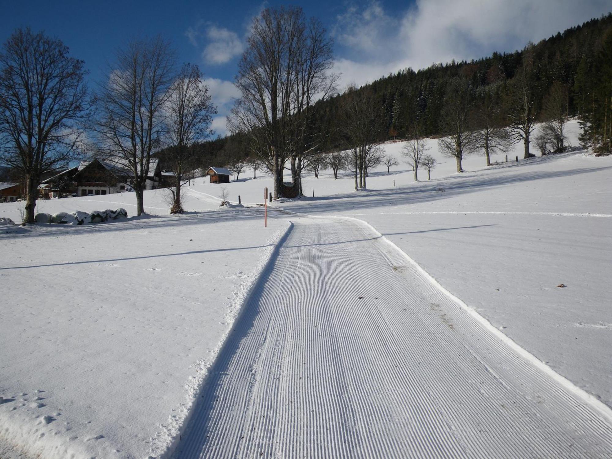 Austrian Alpine Apartments Ramsau am Dachstein Ngoại thất bức ảnh