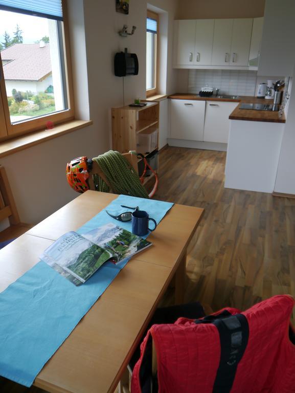 Austrian Alpine Apartments Ramsau am Dachstein Ngoại thất bức ảnh