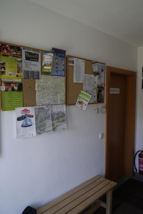 Austrian Alpine Apartments Ramsau am Dachstein Ngoại thất bức ảnh